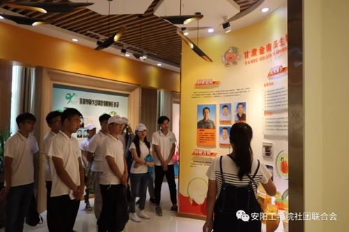 丝路新世界 青春中国梦 张掖科技中介服务调研实践报告